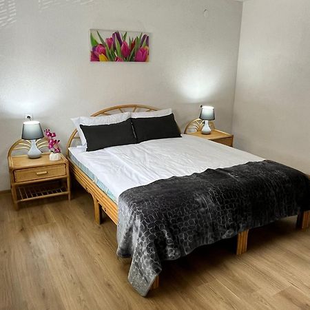 Appartment Zlatan 사라예보 외부 사진