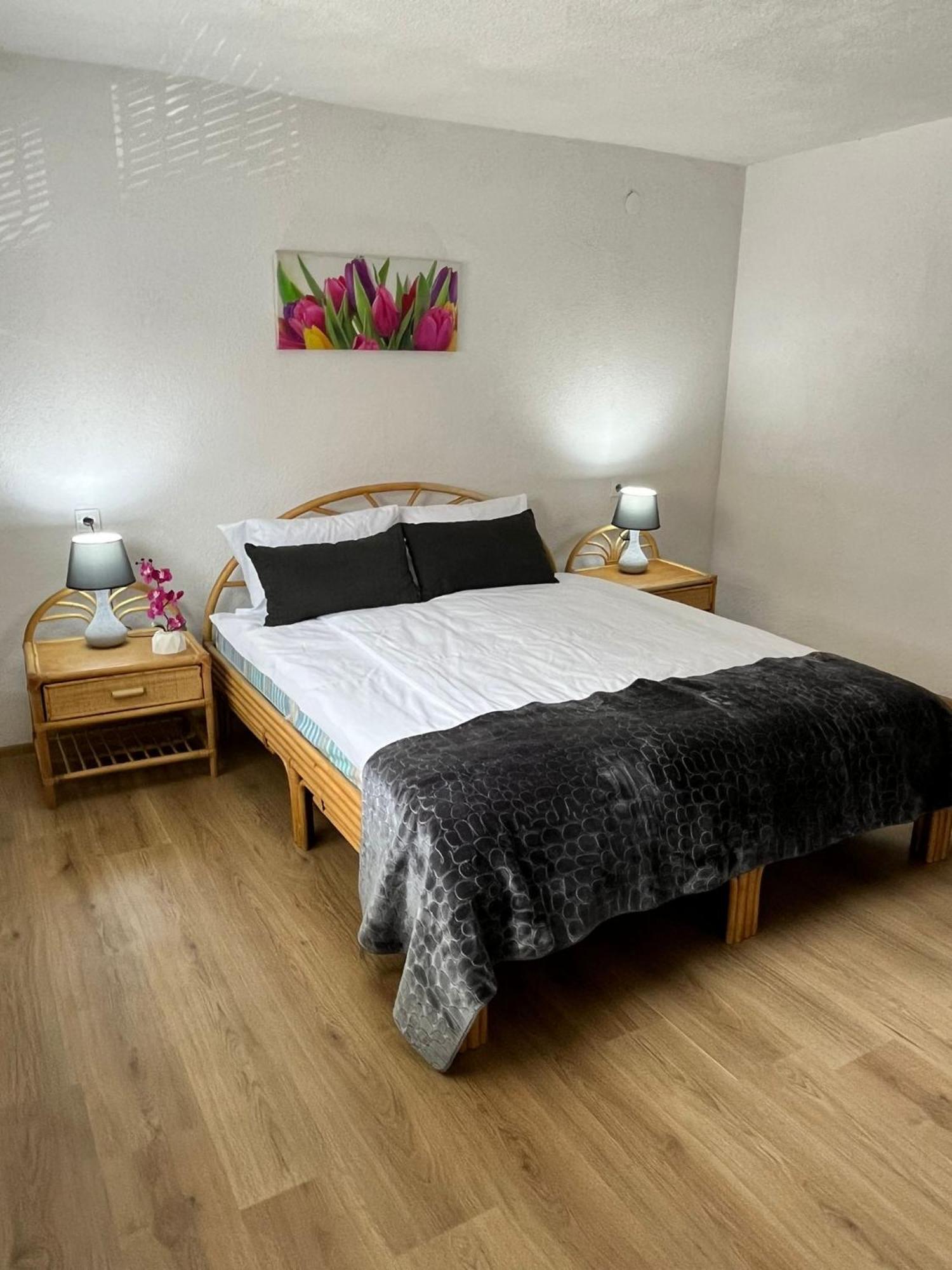 Appartment Zlatan 사라예보 외부 사진